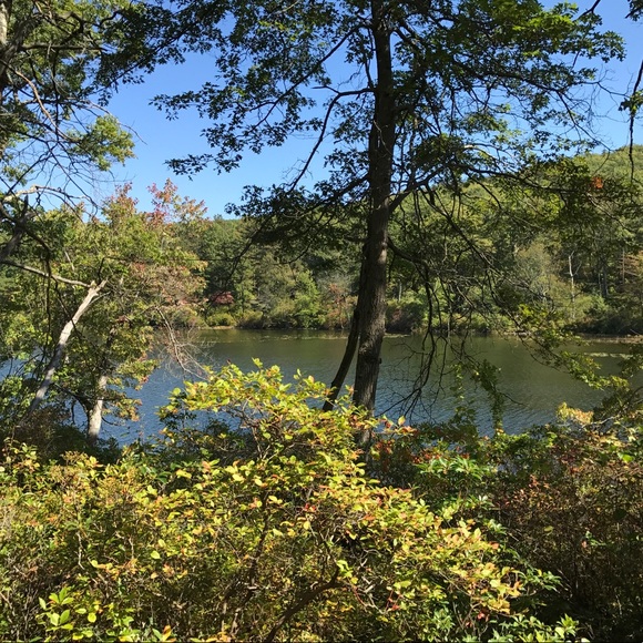 Meet your Posher, Carrie - Picture 4 of 5